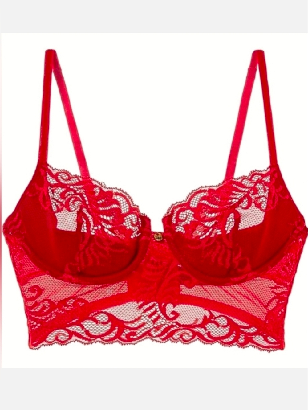 NATORI Feathers Longline Bra 34DD Cranberry Red Floral Lace